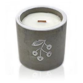 Szójagyertya Bogyók Boróka és Gin Illattal