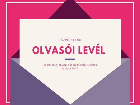 Olvasói levél: Agglegénylak "csajosítása"