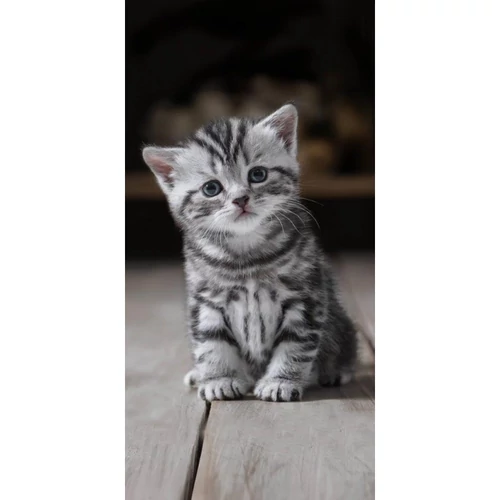 Cicás Fekete-Fehér törölköző 70x140 cm