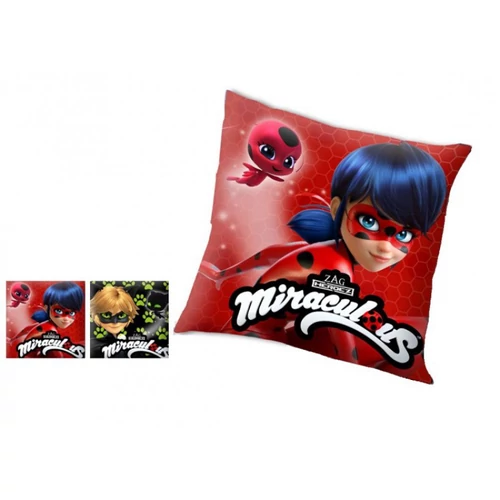 Miraculous Katicabogár és Fekete Macska díszpárna