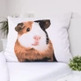 Kép 4/4 - Tengerimalac Furry 2 részes Ágynemű-garnitúra 140×200/70×90 cm