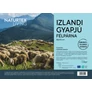 Kép 3/4 - izlandi gyapjú réteggel