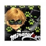 Kép 3/3 - Miraculous Katicabogár és Fekete Macska díszpárna