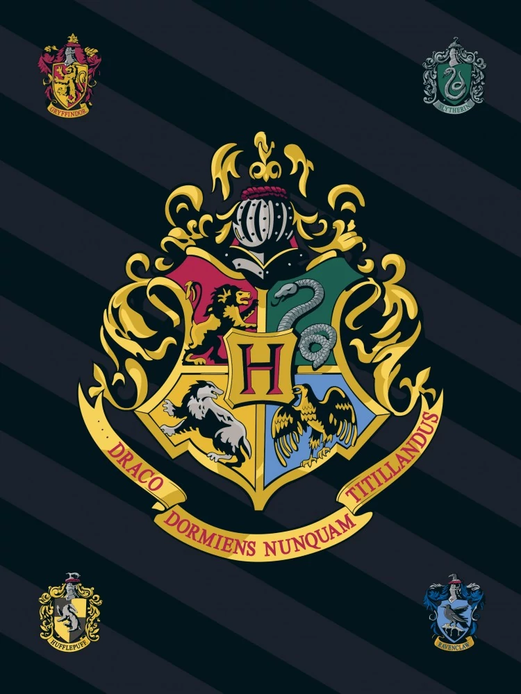 Harry Potter Polár Takaró 100x140cm