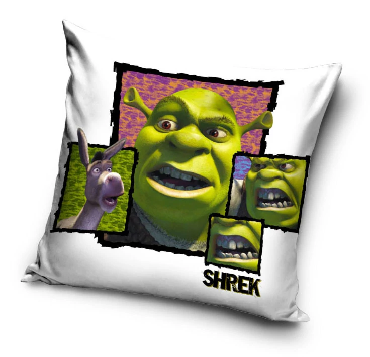 Shrek Párnahuzat 40x40 cm Velúr
