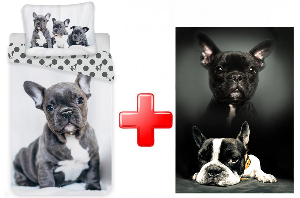Kutyás French Bulldogs Ágyneműhuzat És Polár Takaró Szett