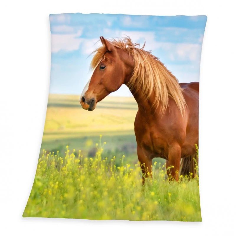 Lovas Freedom Pléd 130x160 cm
